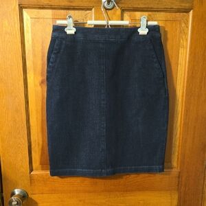 Banana Republic Dark Blue Pencil Skirt